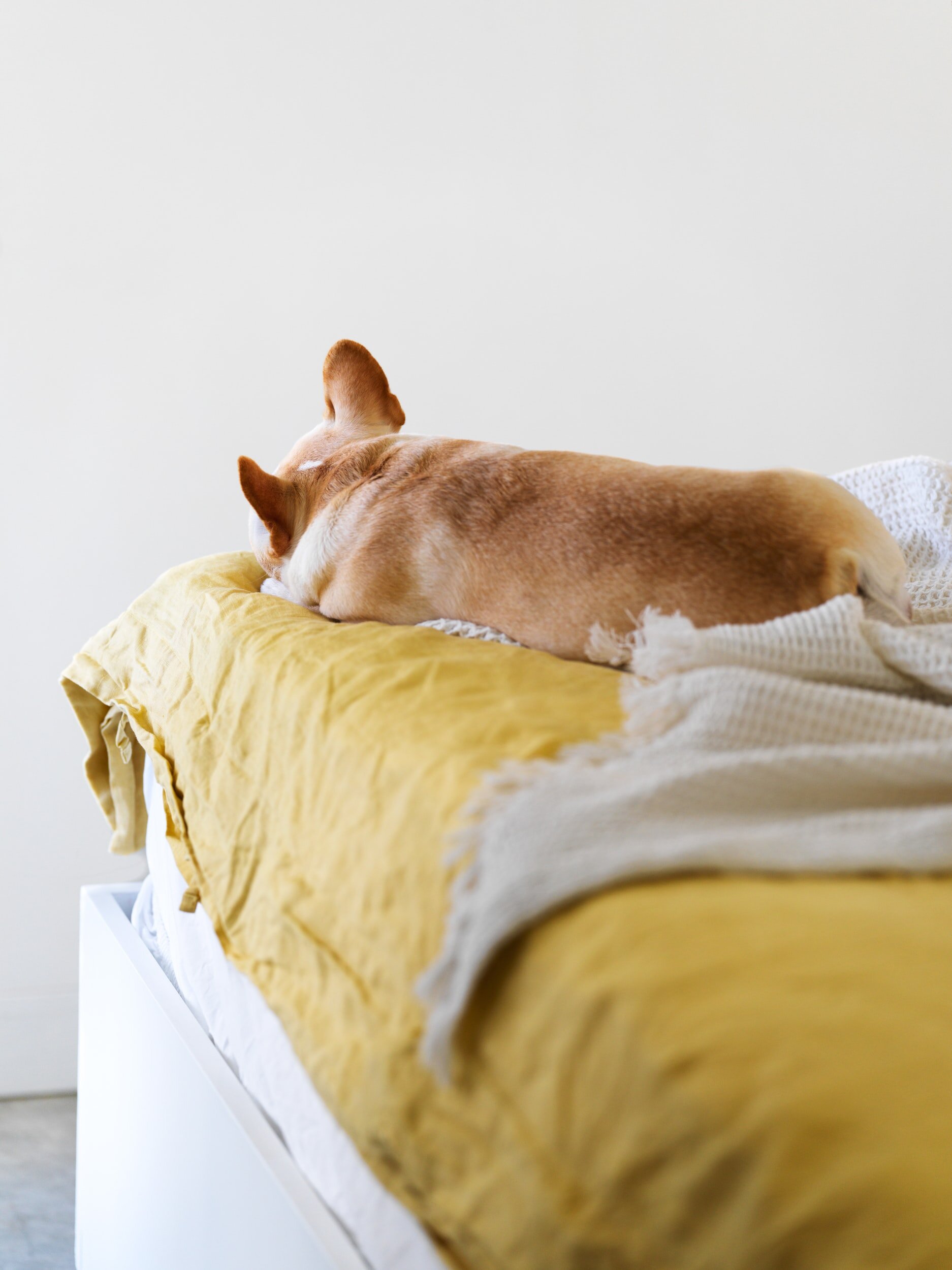 Better Sleeping Tips.