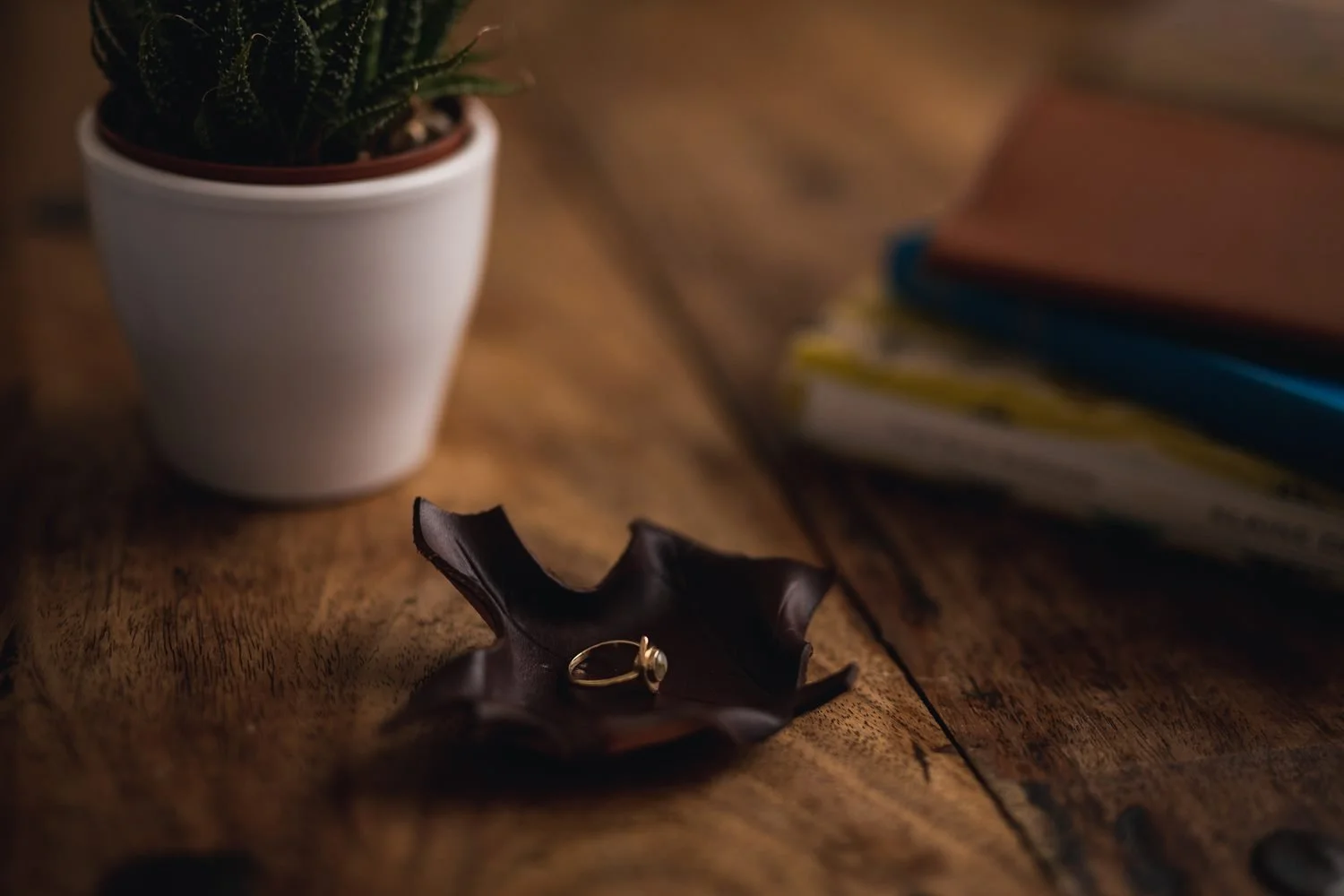 Wee Sycamore leaf and plant pot.jpg