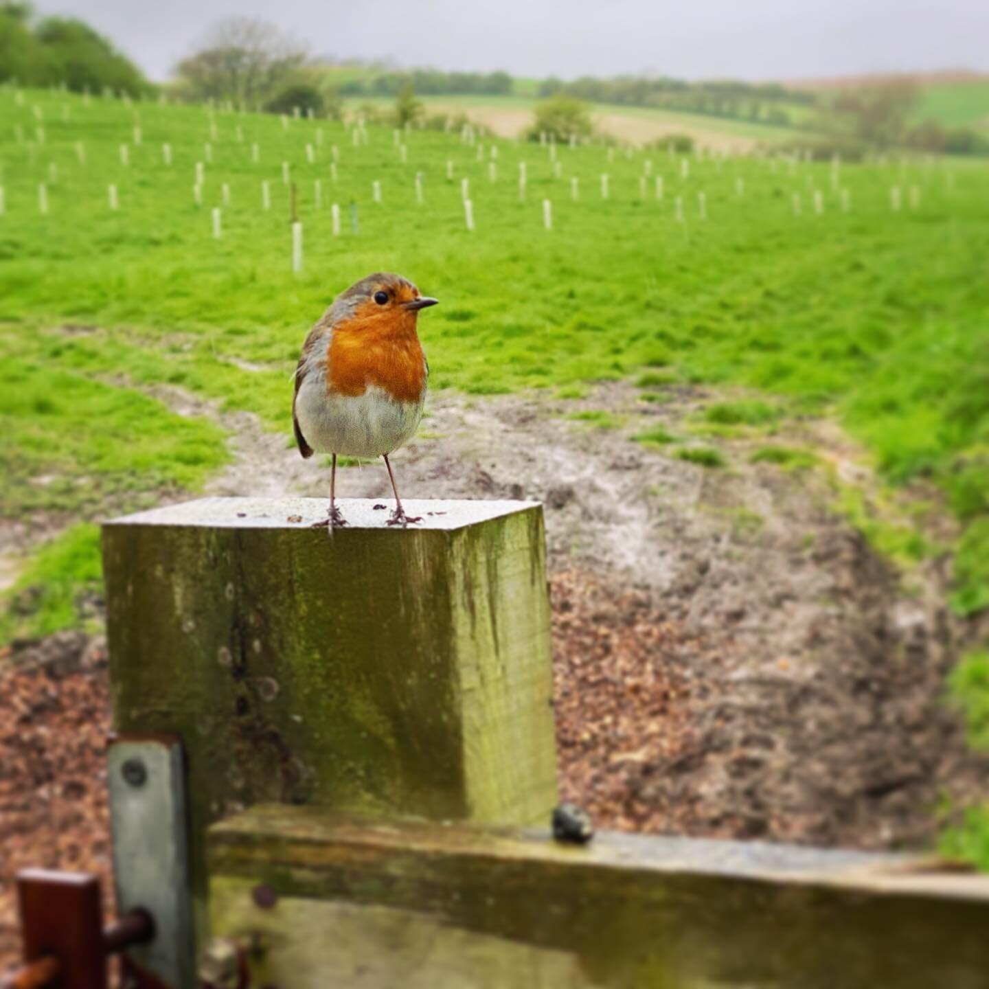 A great way to start the season with a visit from this little friend!

Our next retreat is fully booked but we have places left on the following days coming up:

Saturday 6th May - Wim Hof Fundamentals (FEW SPOTS REMAINING)

Saturday 20th May - Women