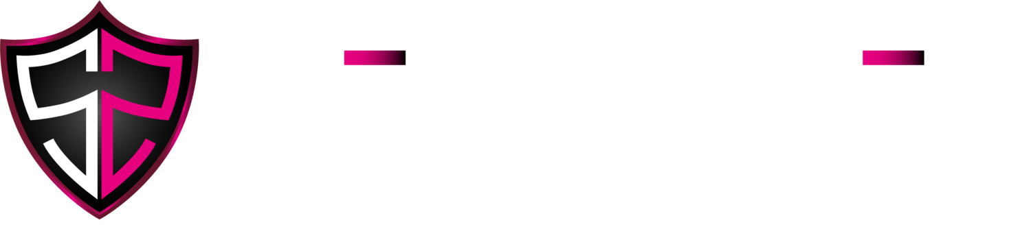 Sentinel Security