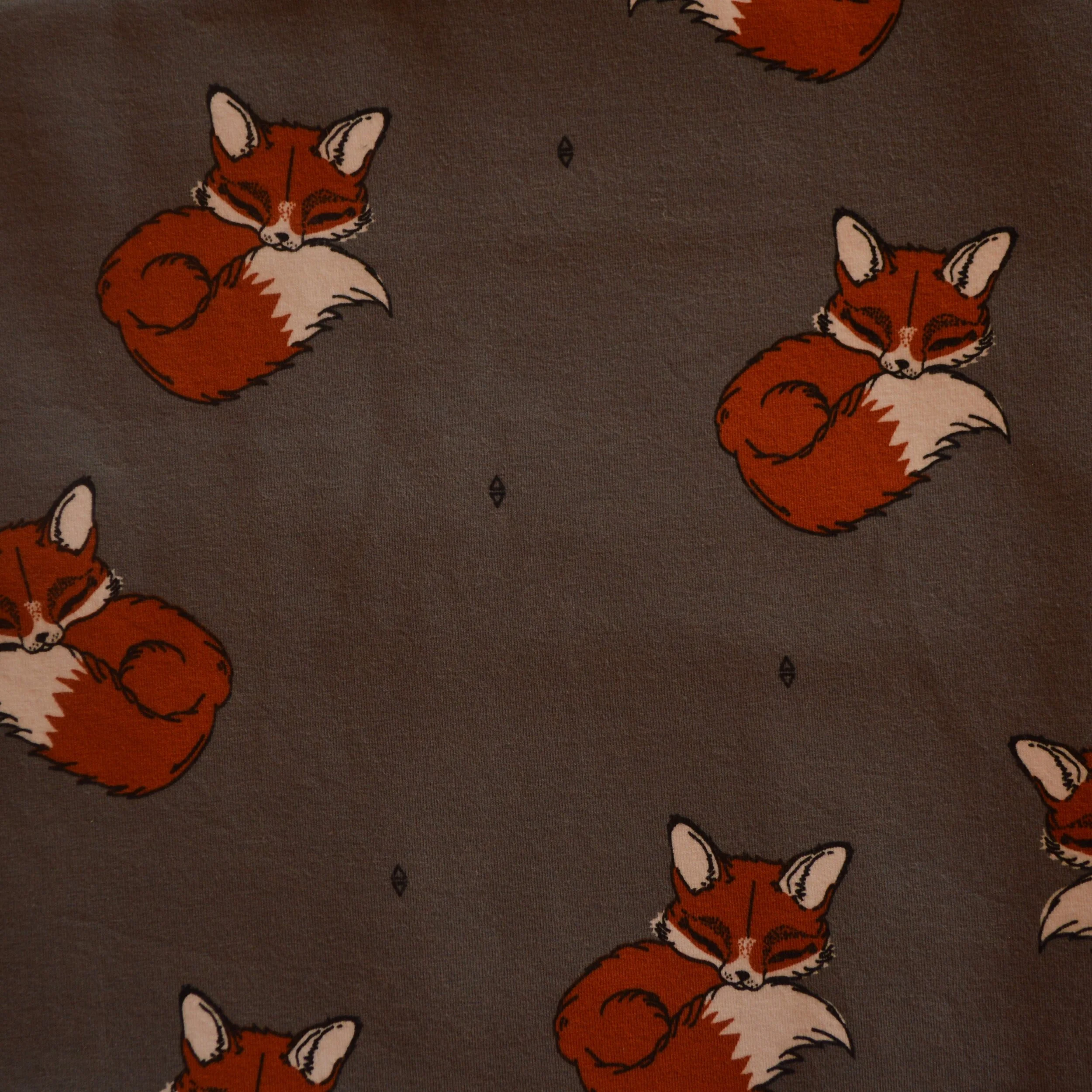 Bio Jersey // Füchsli