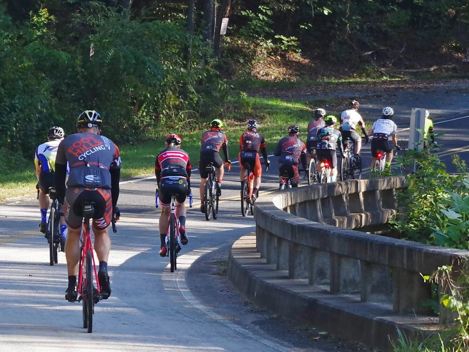 And they are off…..slowly this year.Photo Credit: Patty Hall Young