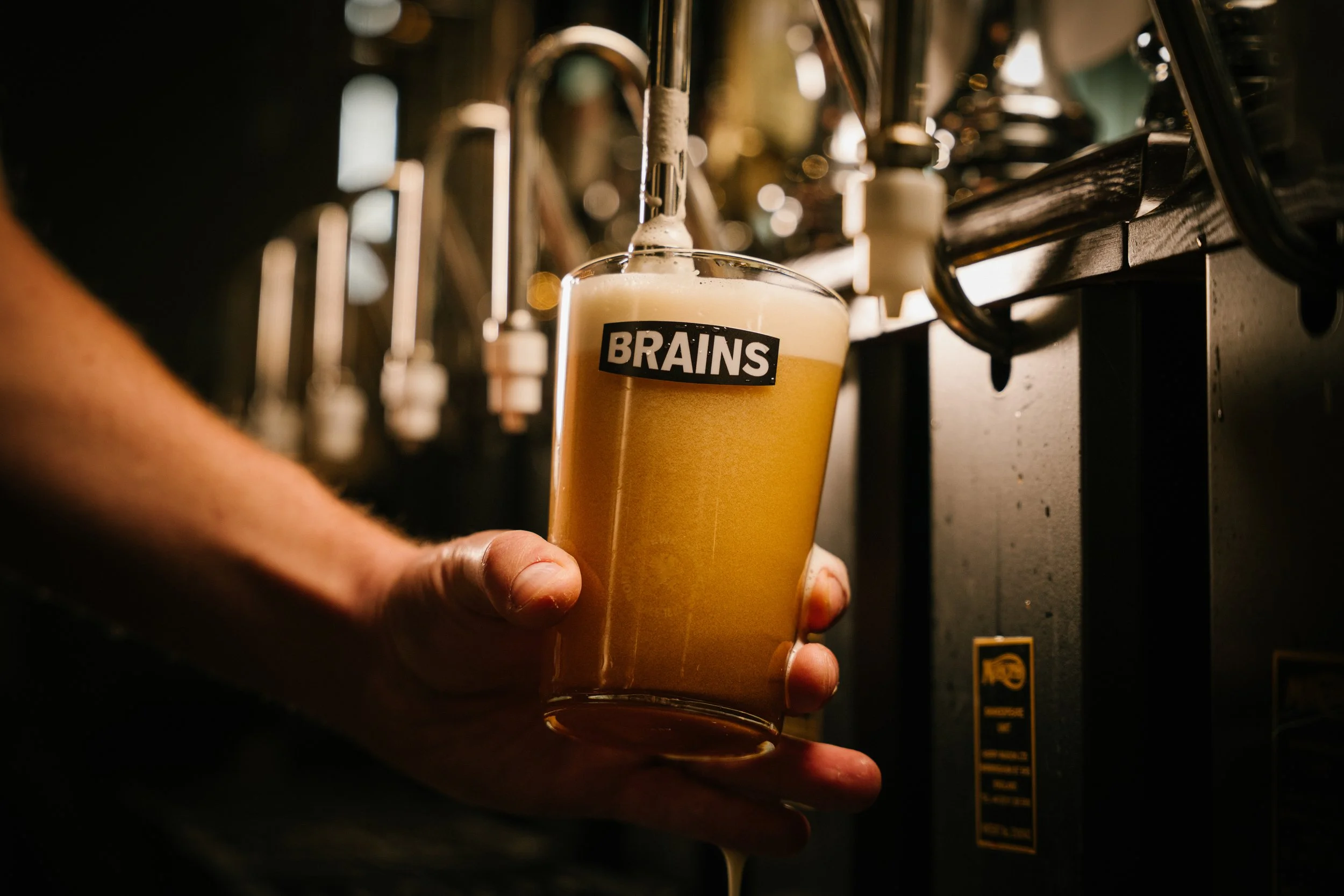Brains RBB-13.jpg