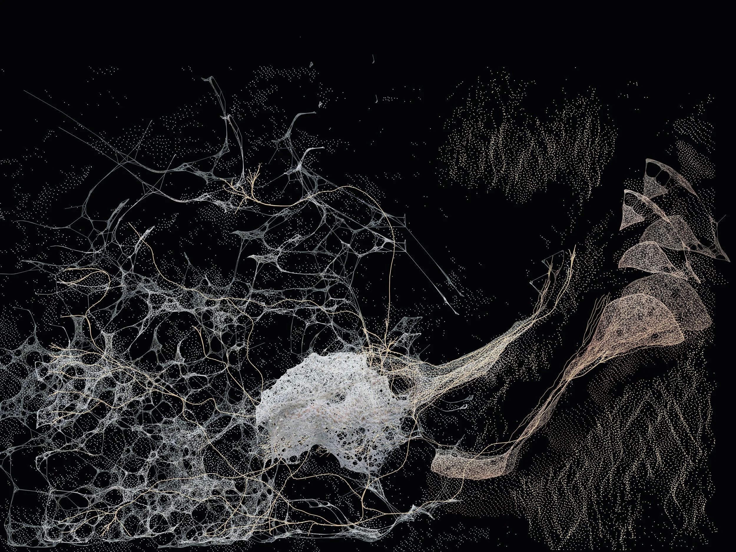 5DD58EB1-B892-4F8F-ADC9-5D22D2C9E0A5.JPG