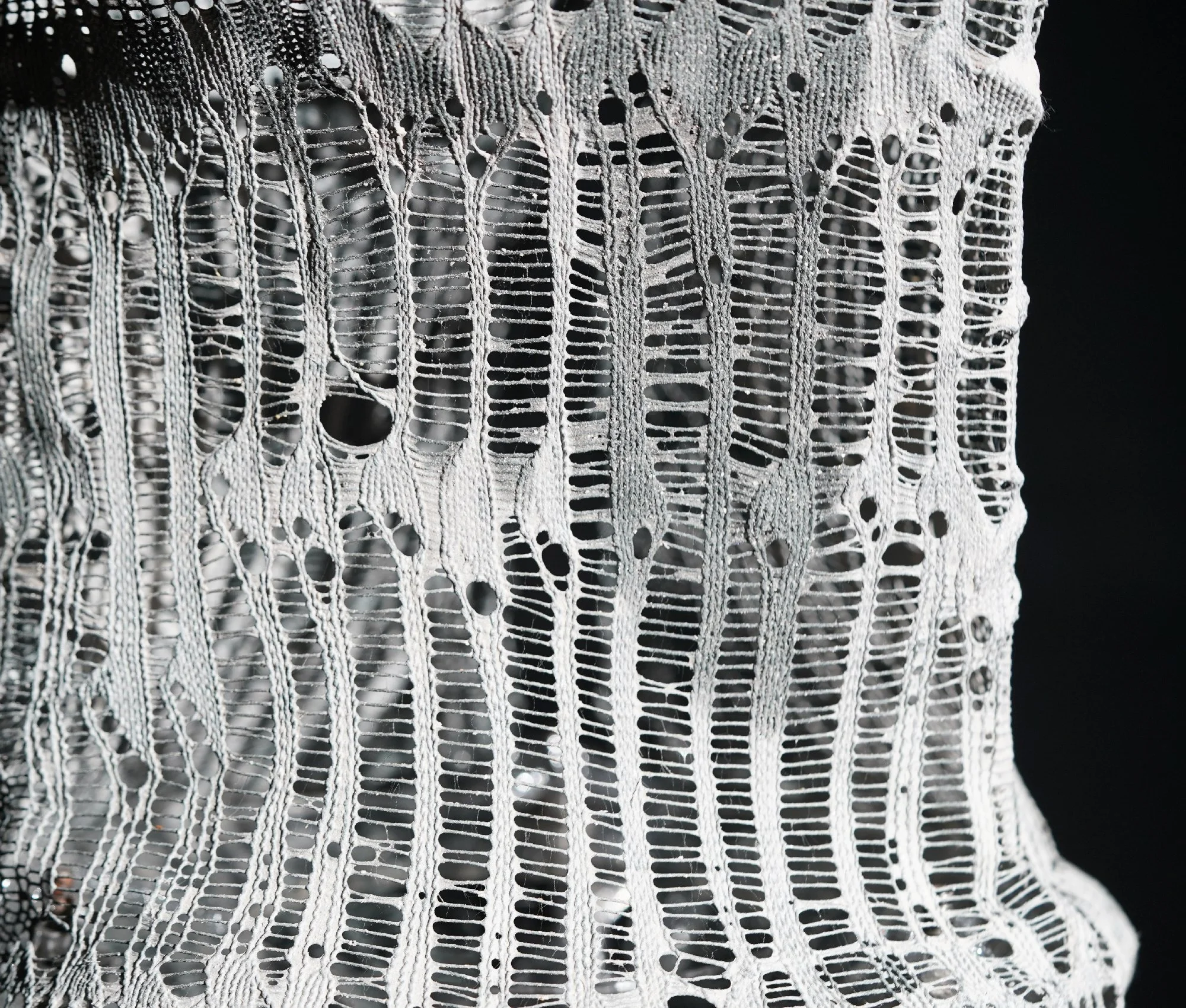 A Multiplicity of Voices