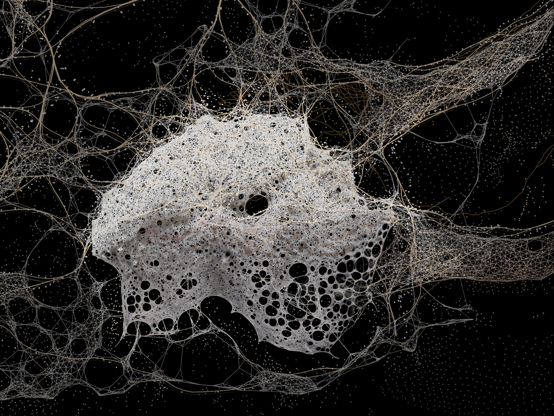 Weaving Pixels