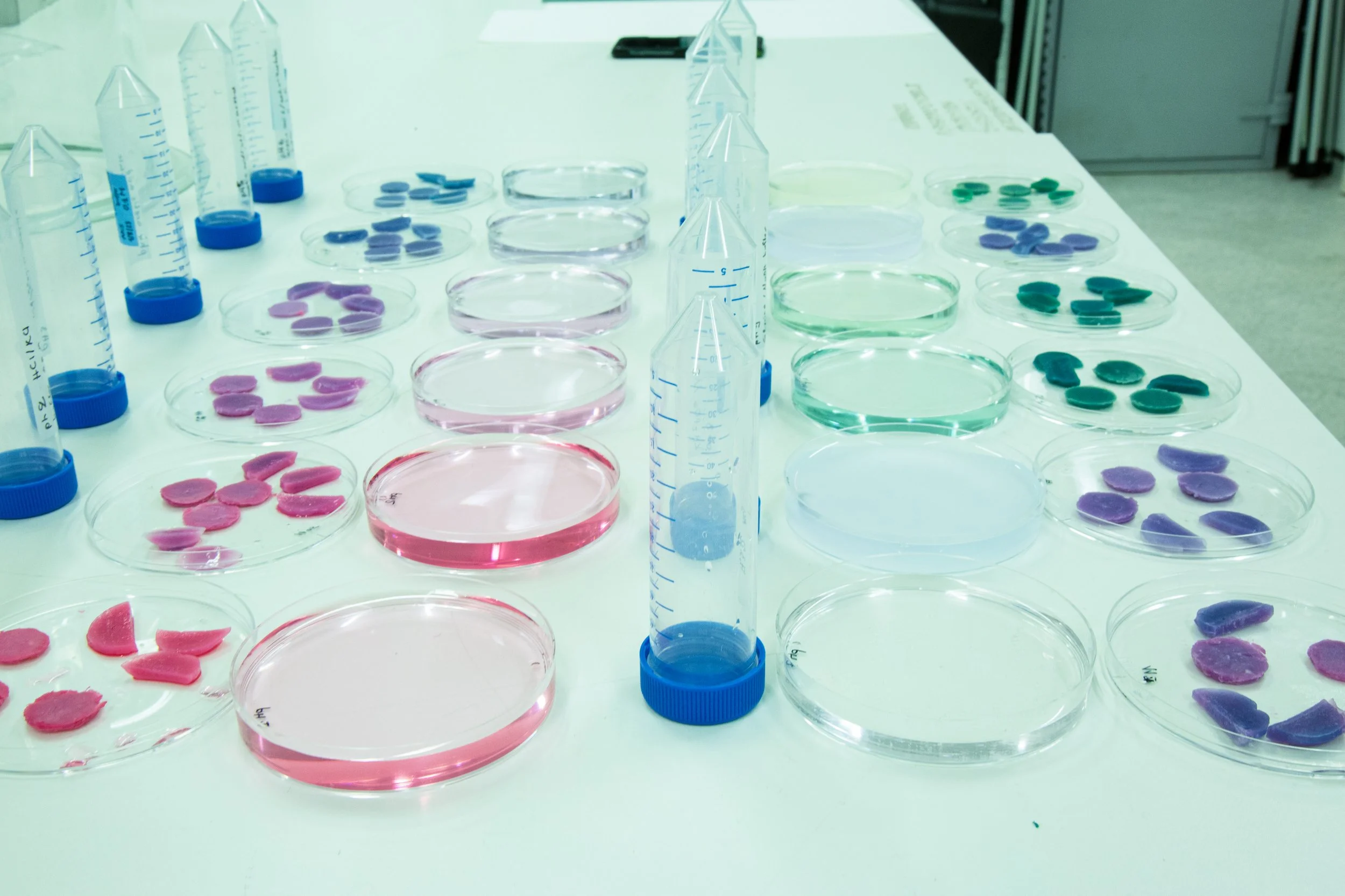 Laboratory tests of boyars infused with cabbage