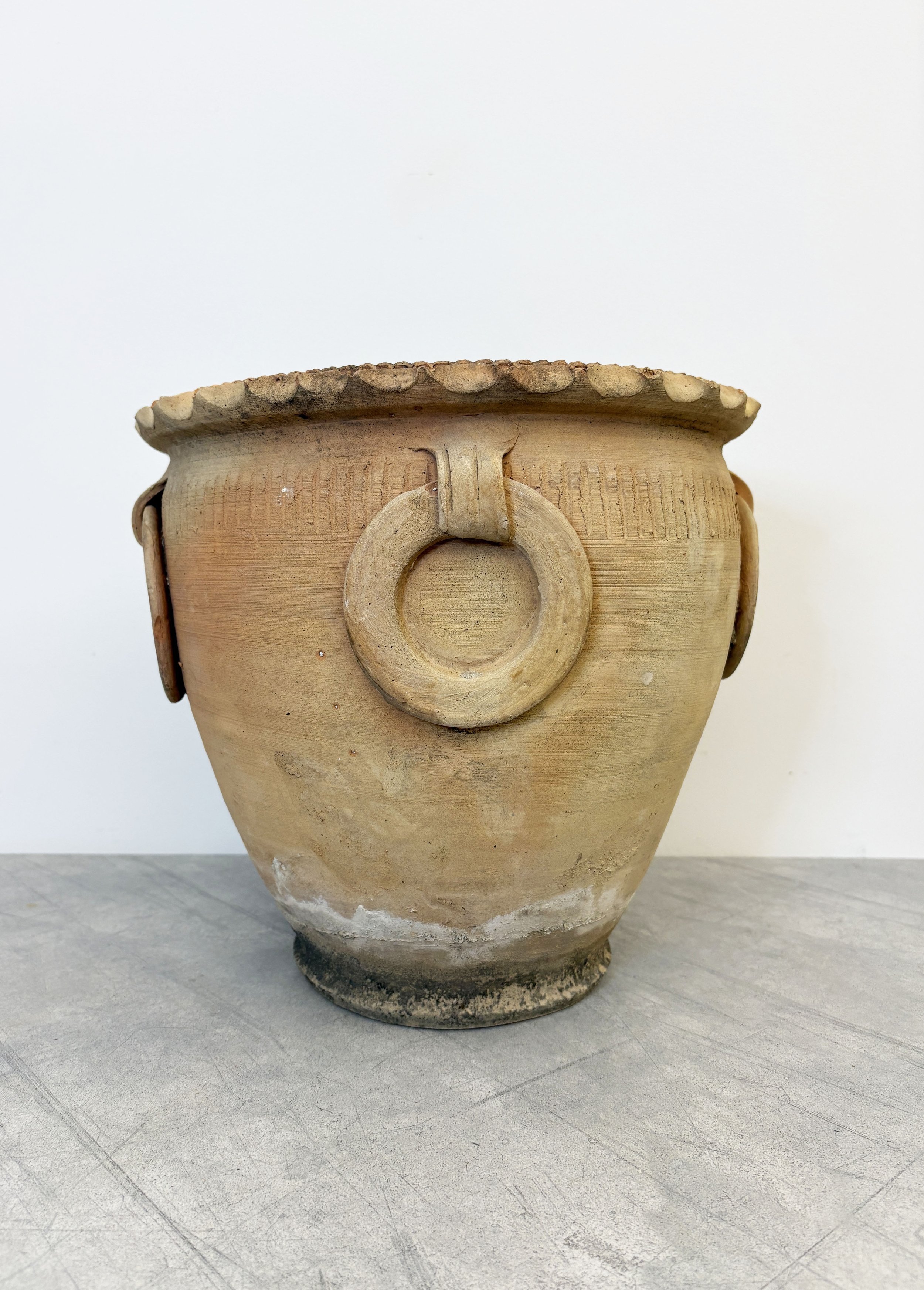 antique rustic Italian plant pot