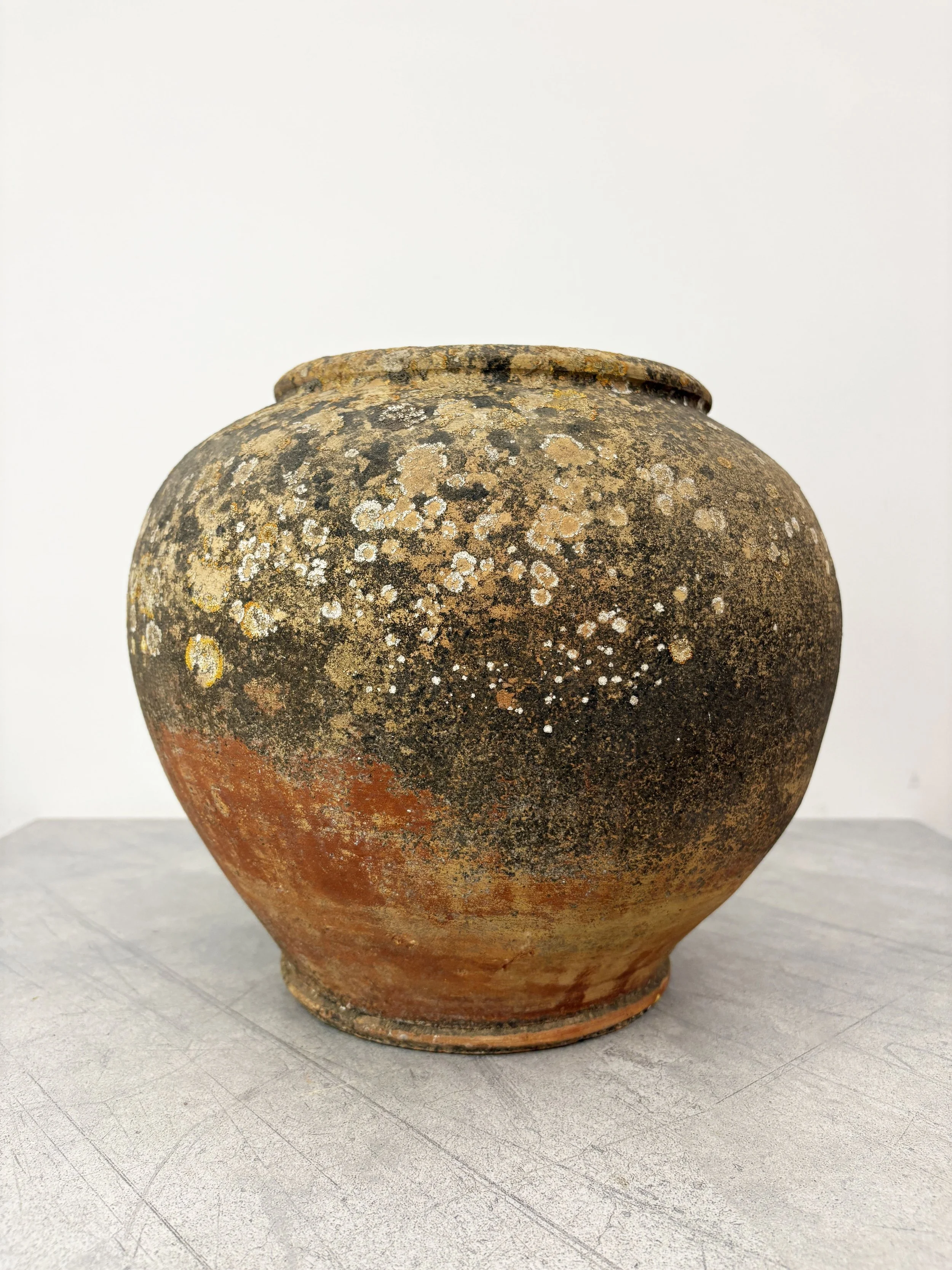 antique large ceramic plant pot Puglia