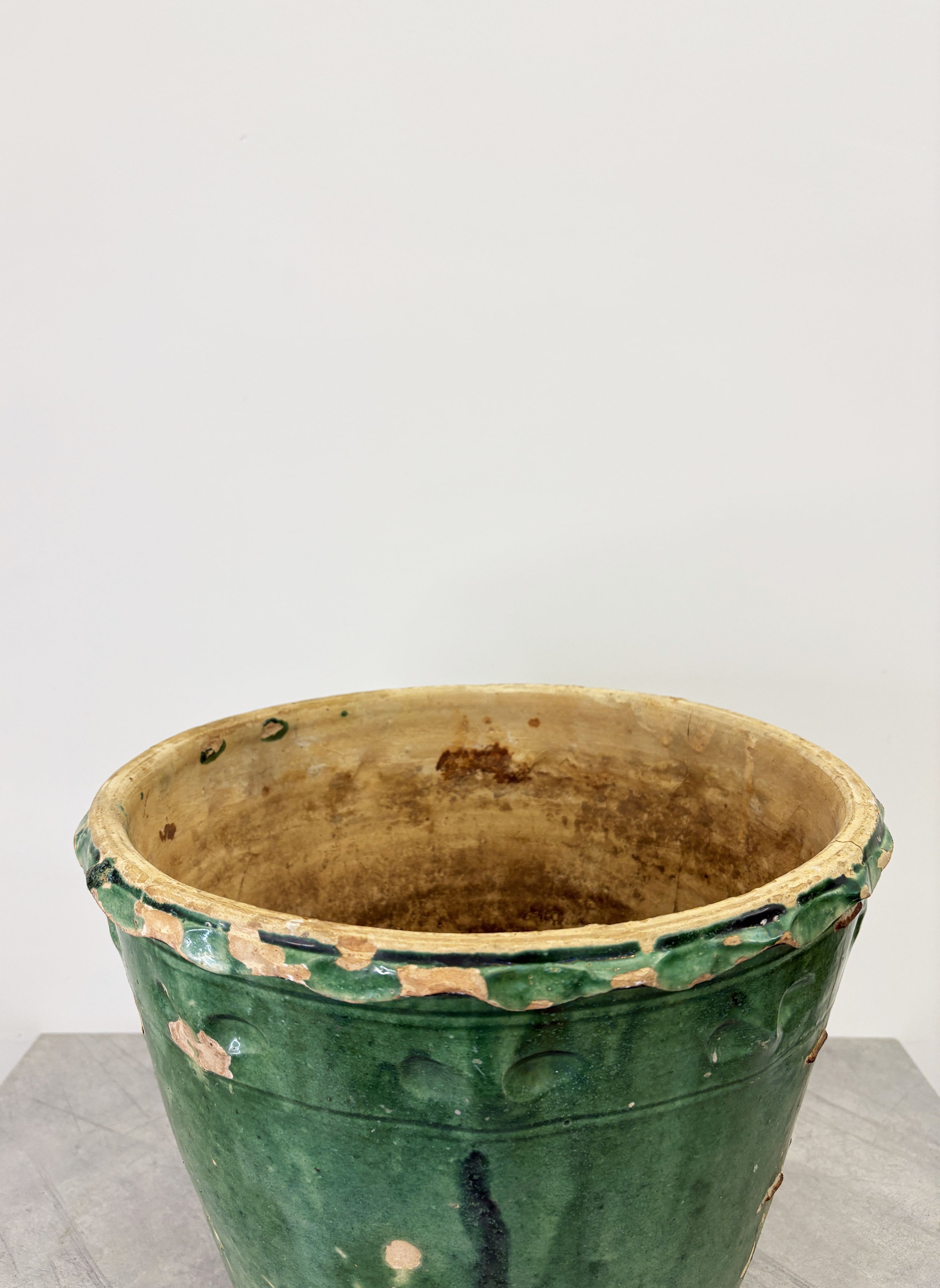 plant pot with scalloped edge