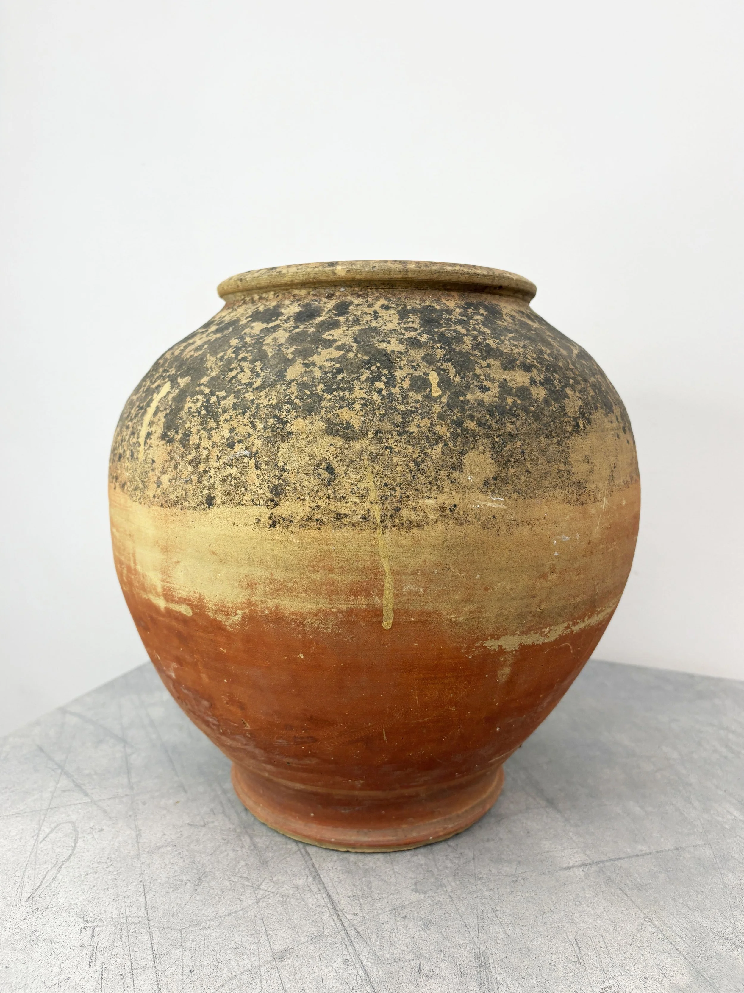 rustic terracotta plant pot Italy