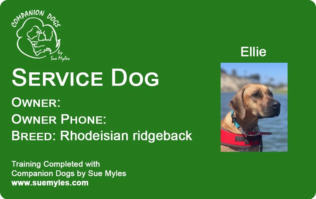 How Do You Determine If A Dog Is A Service Dog