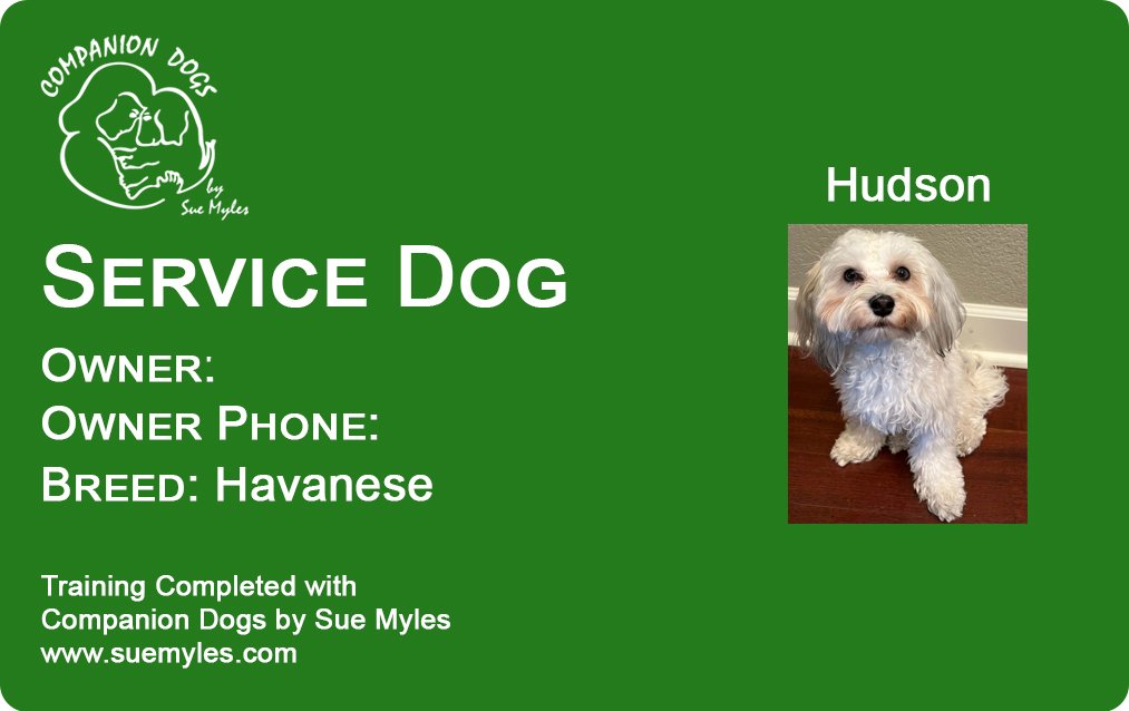 Hudson.jpg