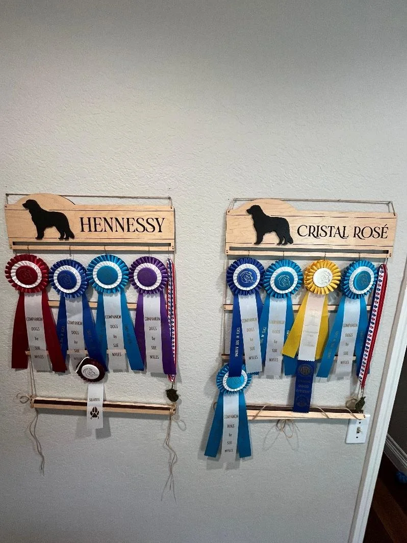 Ribbons.jpg