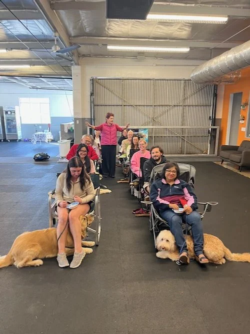 Psychiatric Service Dog Week Class — Companion Dogs by Sue Myles