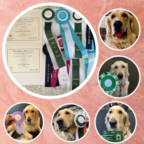 Chloe Training Awards.jpeg