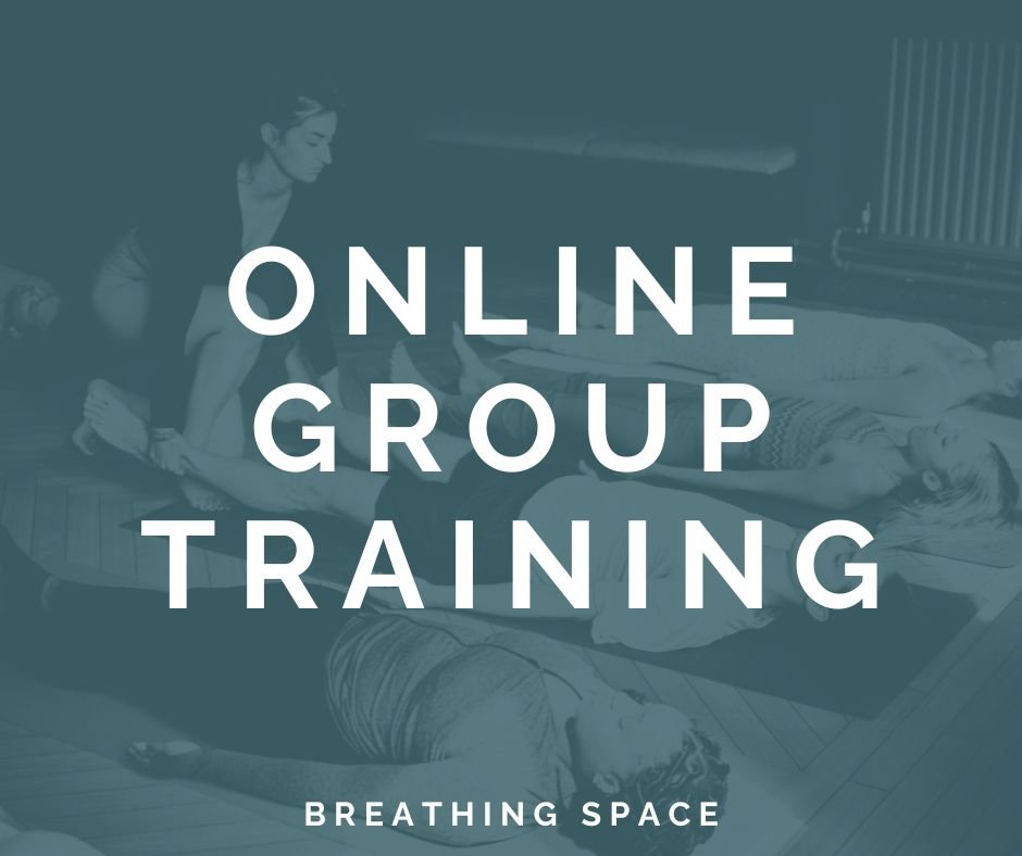 Online Group Facilitator Training