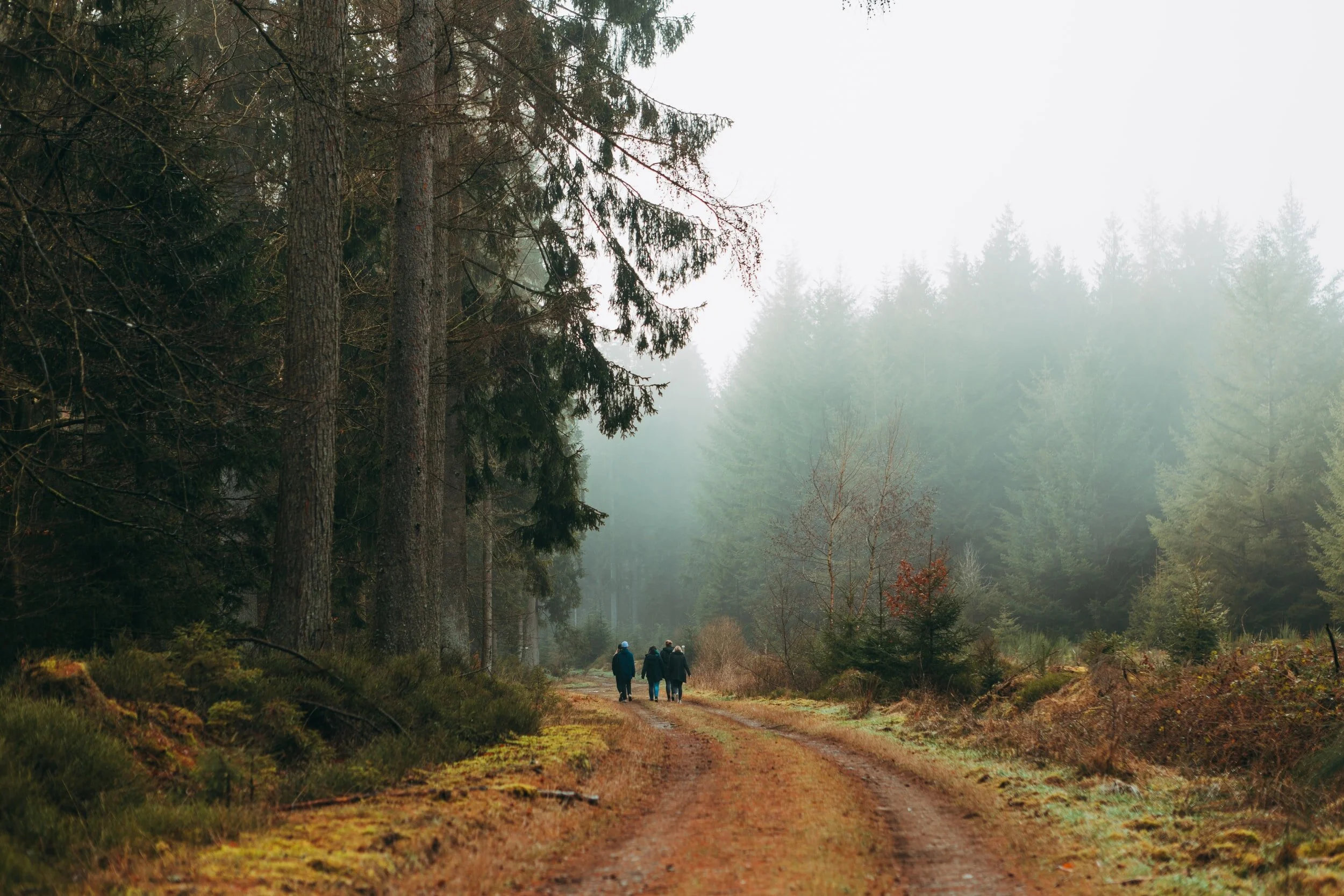 Breathwork Facilitator Group Training