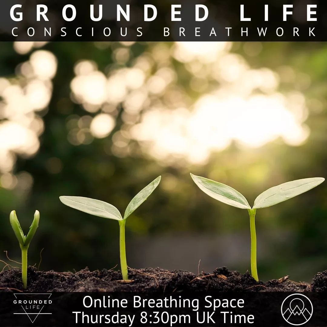 Grounded Breathwork with Hannah and Hannah

When we give ourselves the space to breathe, we gain fresh perspective and the capacity for more empowered and conscious choice through reconnecting to our body-mind, learning the language of sensation and 