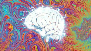 Can Breathwork Release DMT?