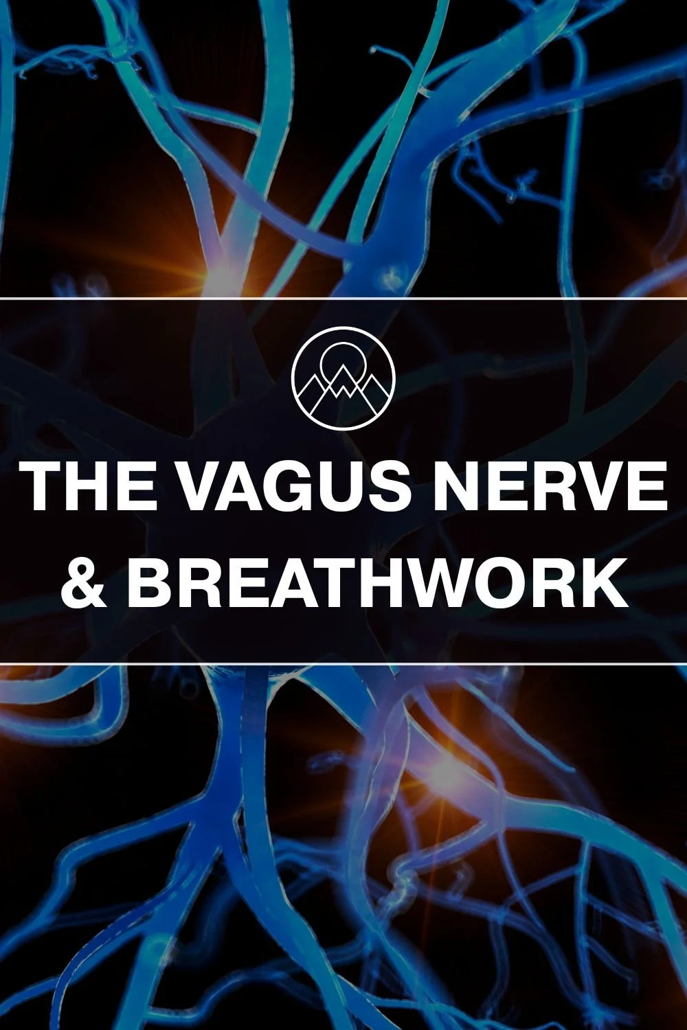The Vagus Nerve Explained