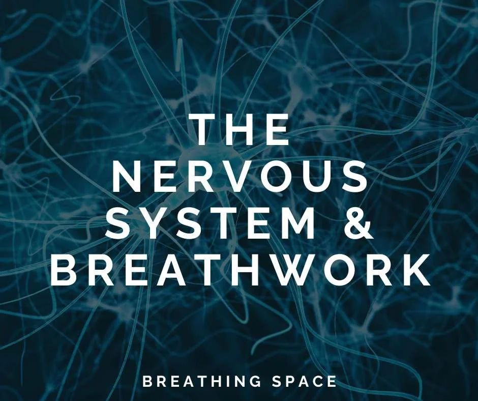 The Nervous System &amp; Breathwork