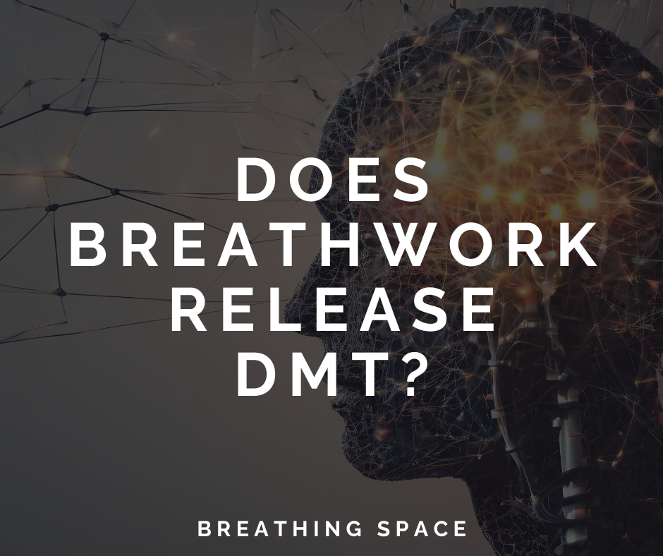 Does Breathwork Release DMT
