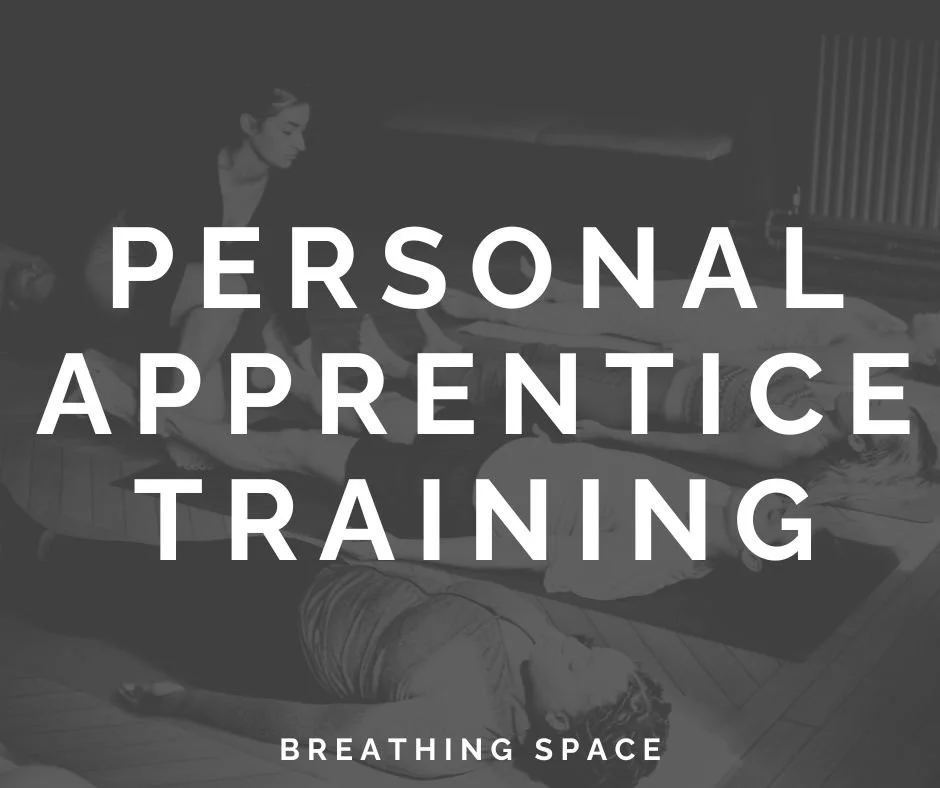 The Individual Apprenticeship