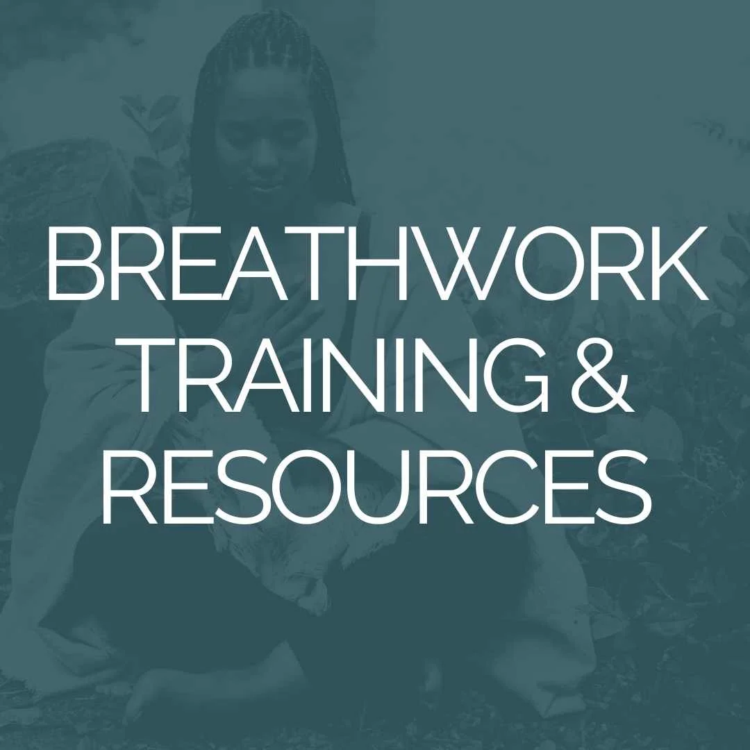 Support for those who want to train, or who already have, including pathways, ethics, scope, and integration.