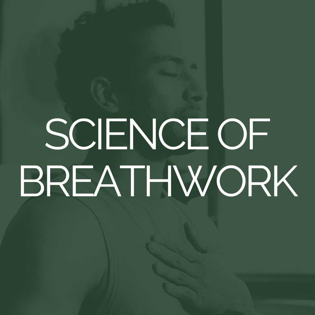 Clear, accessible explanations of how breathwork affects the nervous system, brain, and body.