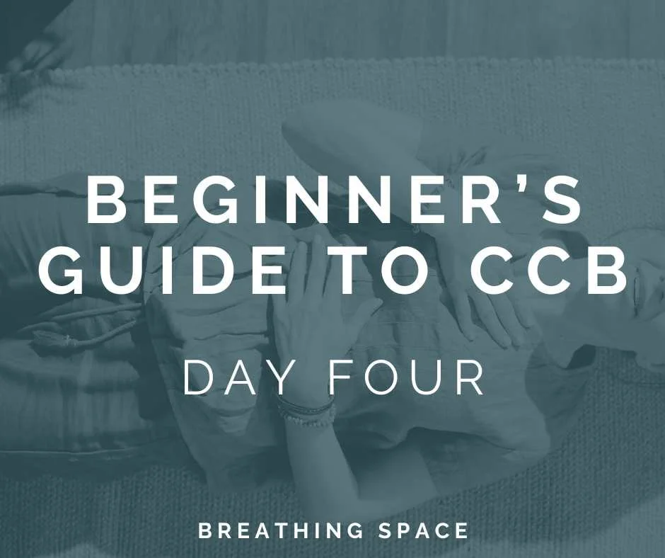 Day Four Beginner's Guide to CCB