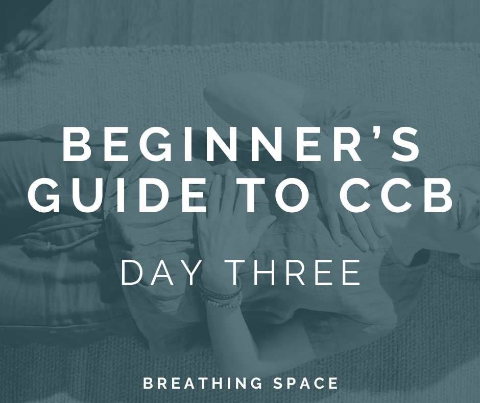 Beginner's Guide to CCB Day Three