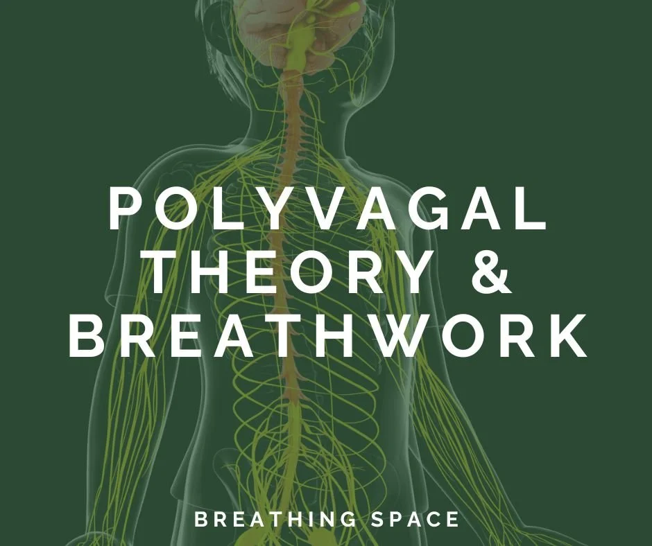 Polyvagal Theory for Breathwork Professionals