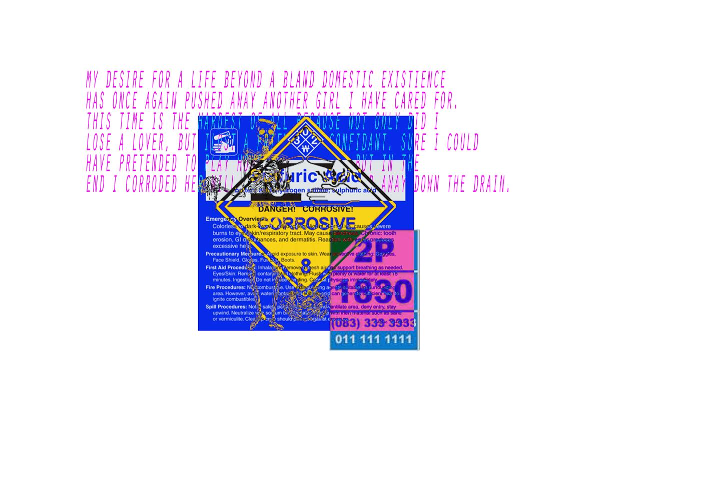 Bland domestic experience graphic