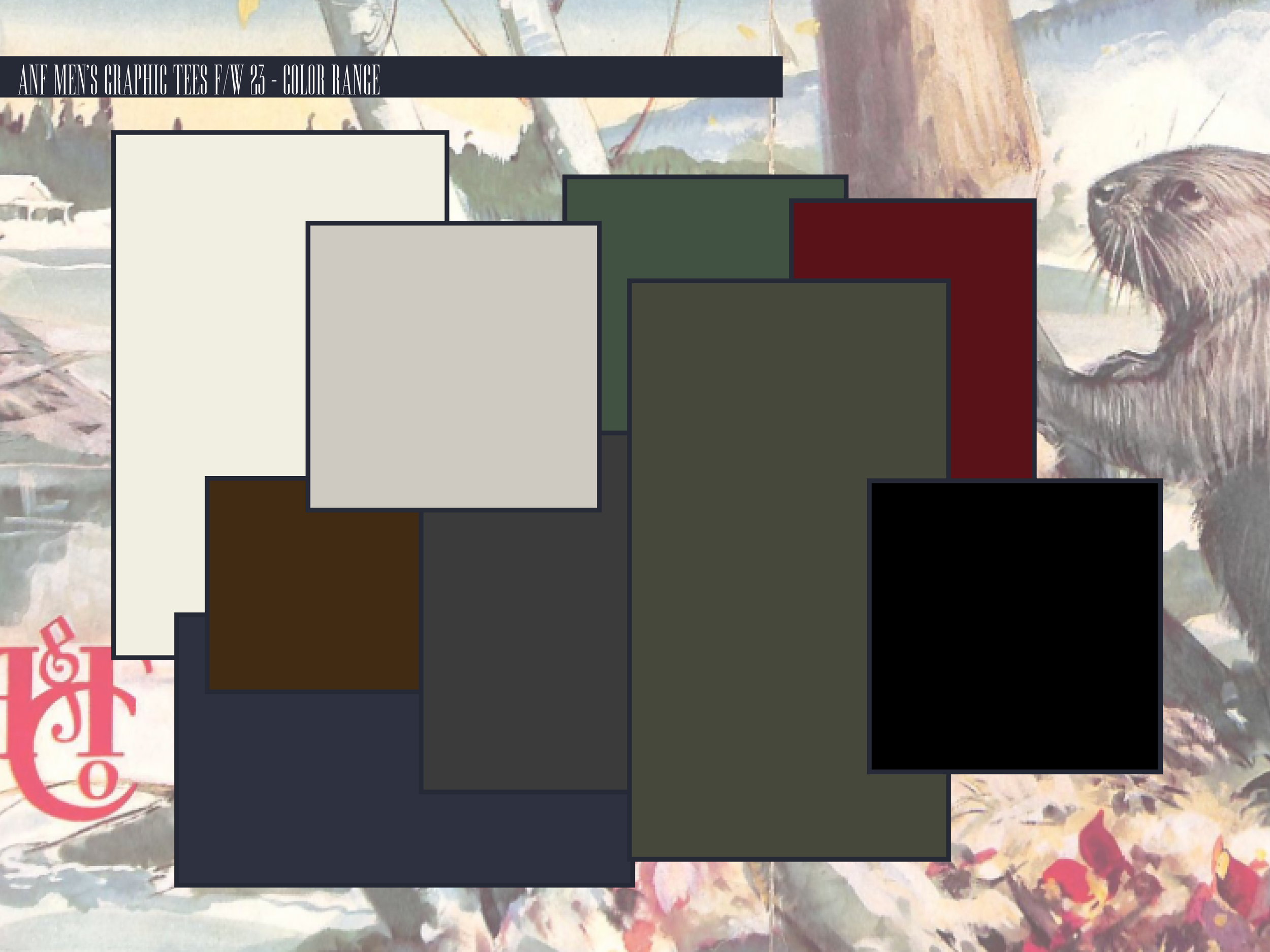 anf design project10.png