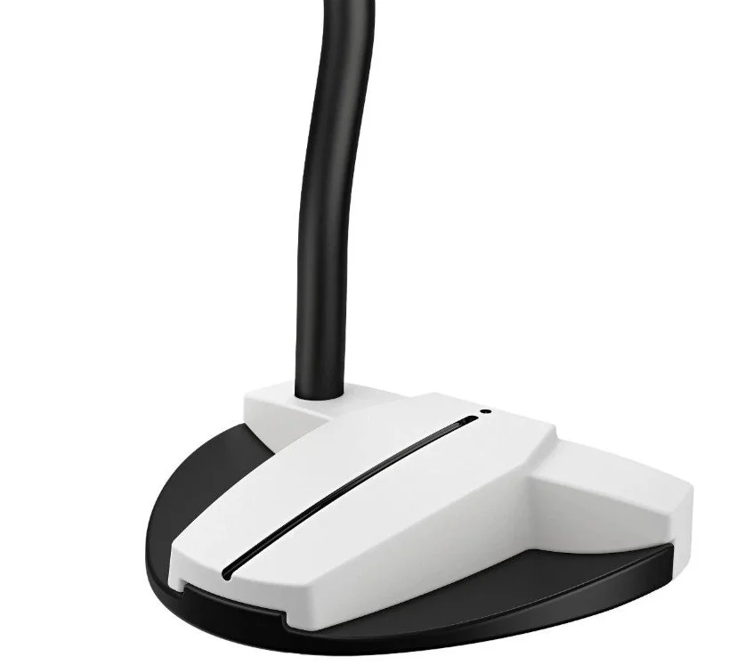 PING Scottsdale Hayden Putter Back.jpg