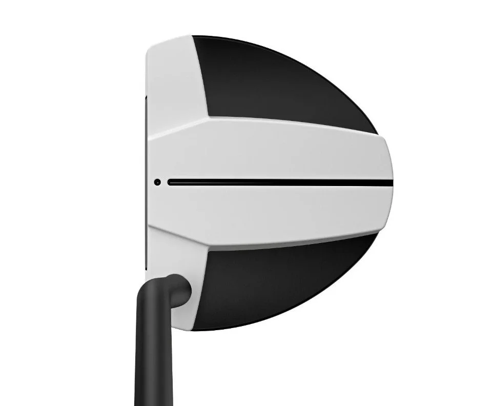 PING Scottsdale Hayden Putter Top.jpg