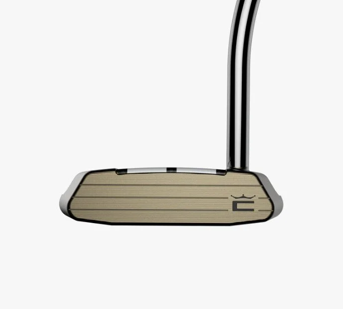 COBRA 3DP Tour Supernova Putter Face.jpg