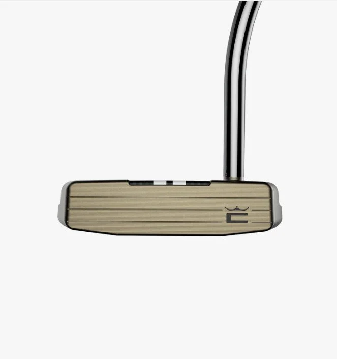 3DP Tour Agera RS Putter Face.jpg