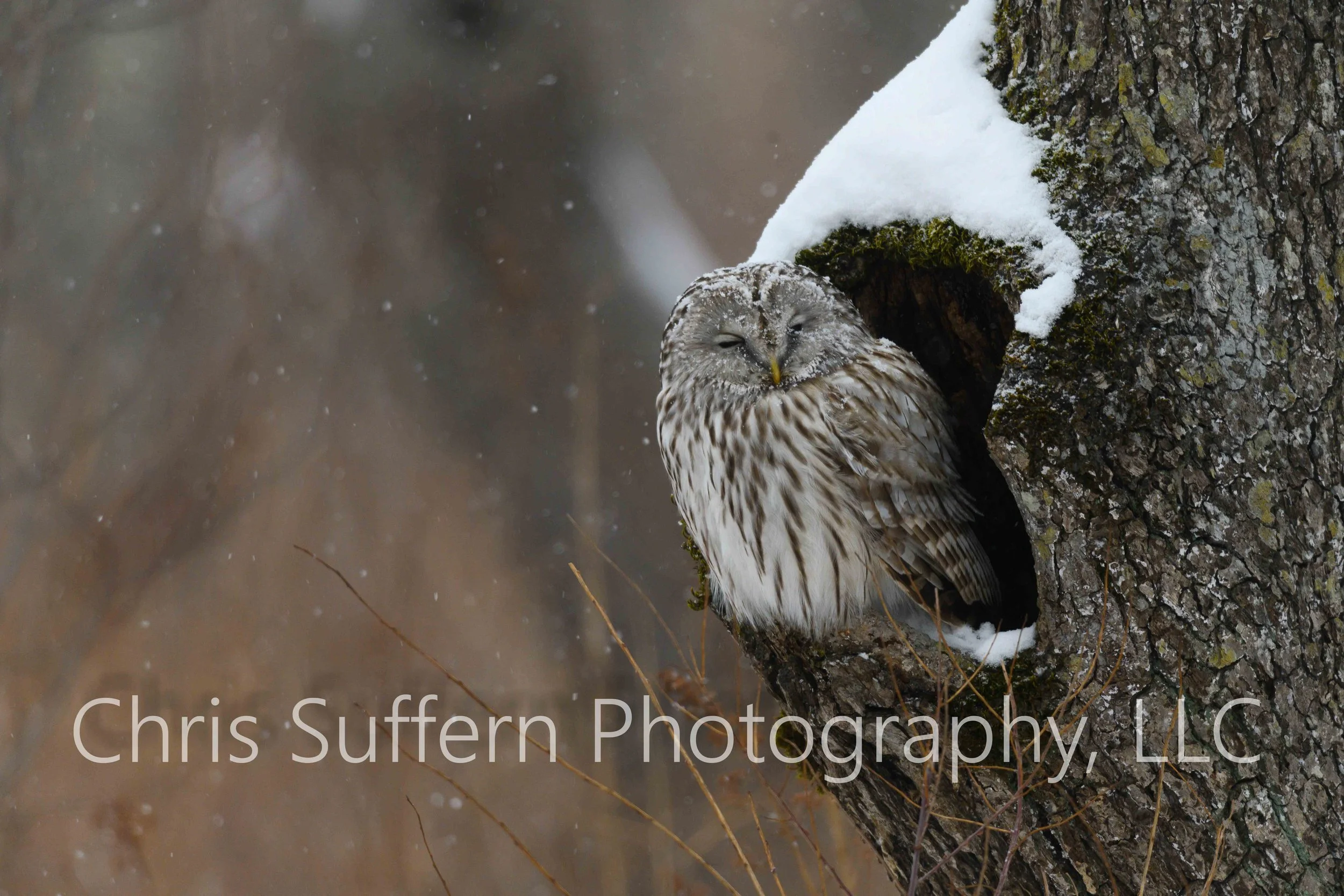 ngc70002 (4 of 4)-2.jpg