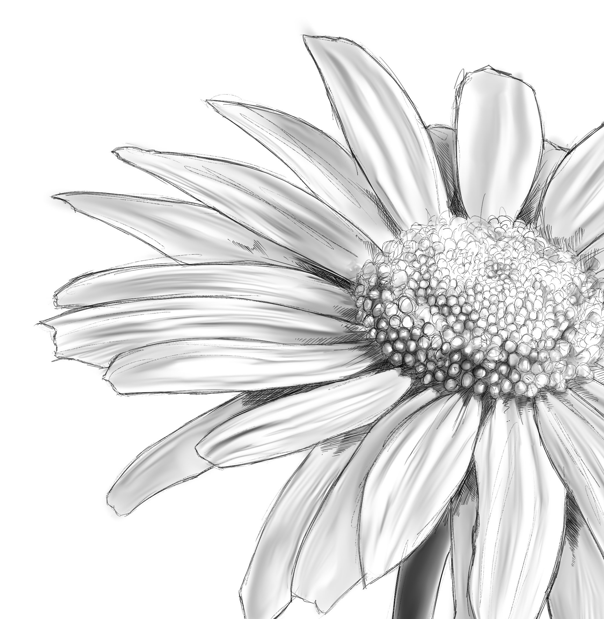 1ED2954D-FA28-43CC-ACA8-0827E056A531.jpeg