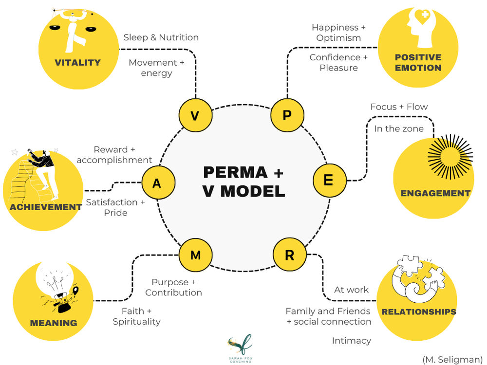 PERMA + V: A Practical Winter Wellbeing Guide to Doing Good and Doing ...