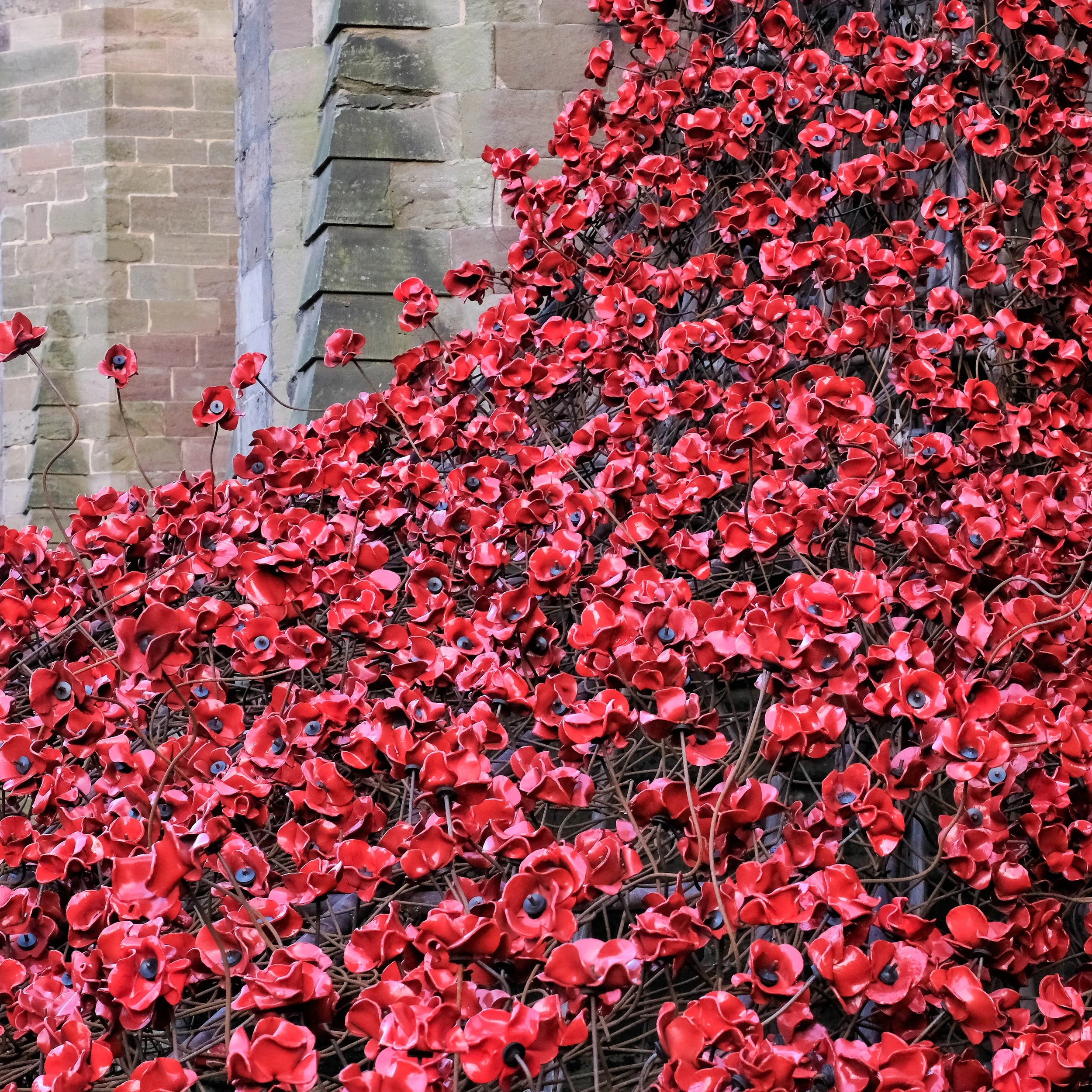 Remembrance Sunday 