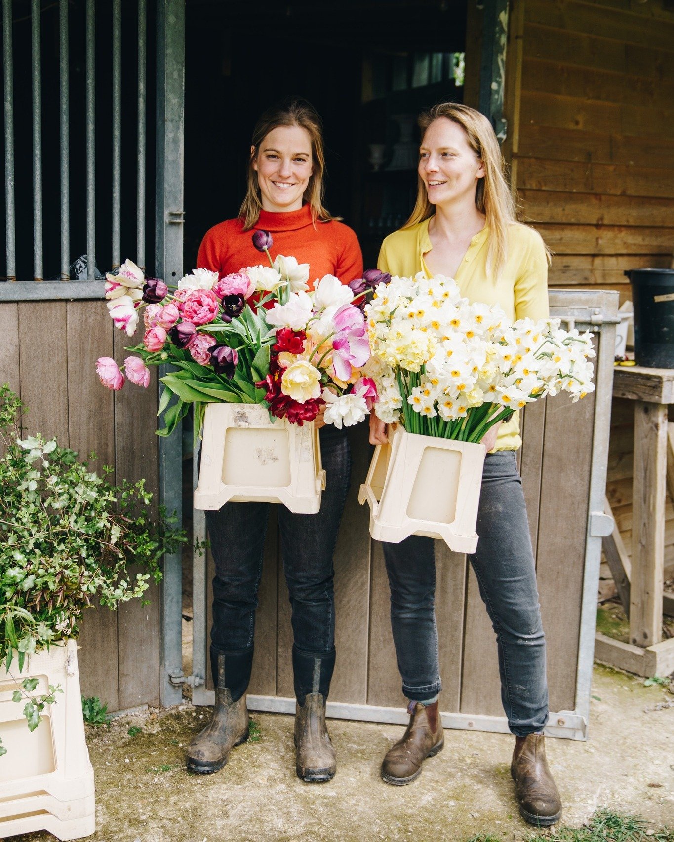 Despite it feeling like spring has been a long time coming with the never ending rain, the flowers are telling us otherwise. The tulips and narcissi have been weeks ahead of last year and we've picked the last of the tulips and narcissi for 2024. Pla