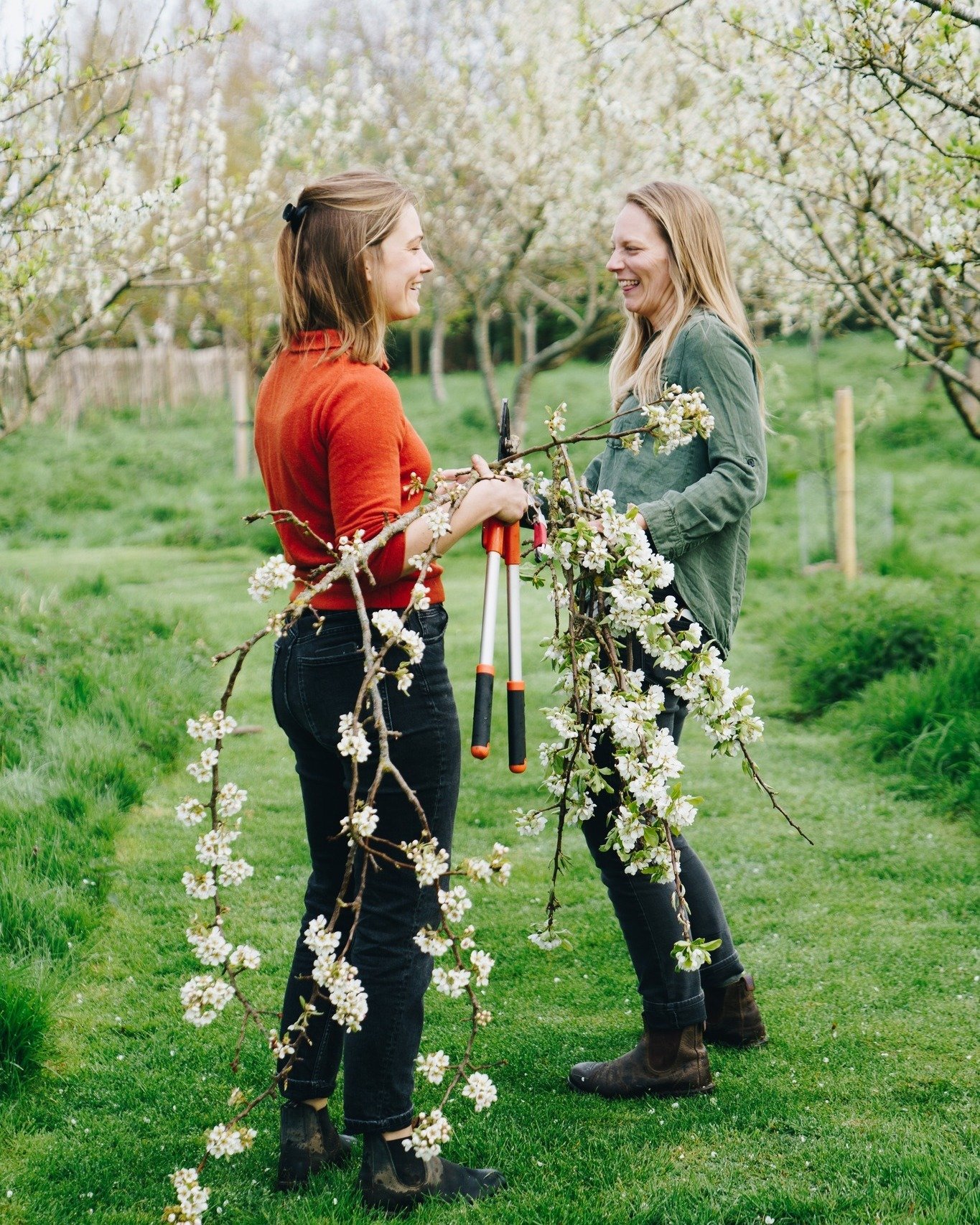 We've been harvesting more blossom for a funeral this week. Such a fleeting crop and gale force winds don't help but we enjoy it whilst it lasts.

#blossom #springflowers #britishflowers #seasonalflowers #flowerfarm