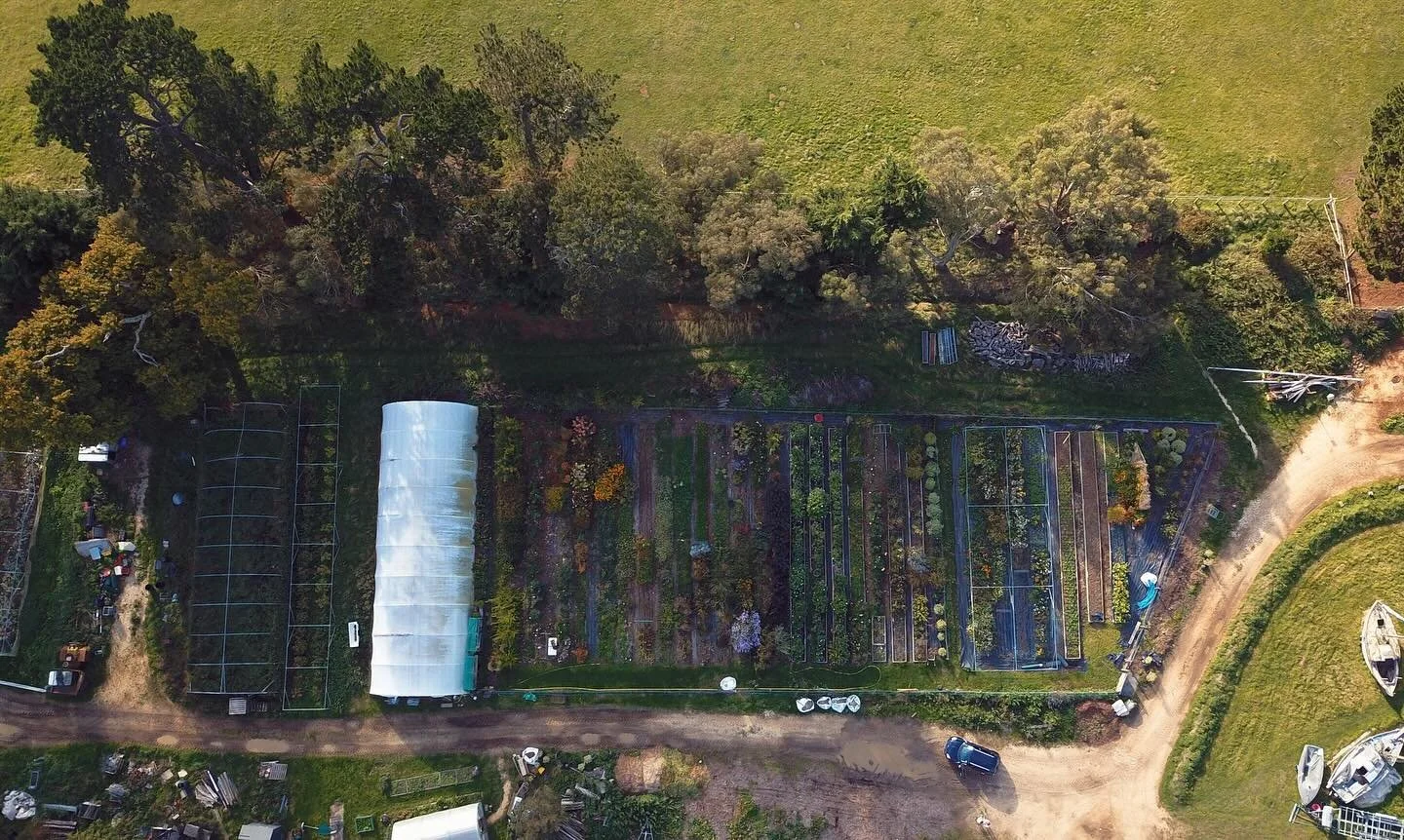 A huge thank you to @freyablazeby for today&rsquo;s drone photographs. We&rsquo;ve been at our plot @warbornefarm for 5 years now and seeing it from the air for the first time makes me feel very proud of how much we&rsquo;ve achieved. 

 #flowerfarme