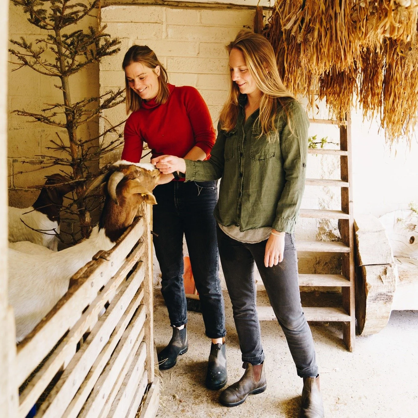 I hope everyone is getting into their groove for 2026.  We're busy avoiding the rain and getting on with some admin so I thought I'd take the time to introduce ourselves for any new followers. 
We are Becky and Sarah Kemlo. Sisters. Florists. Flower 