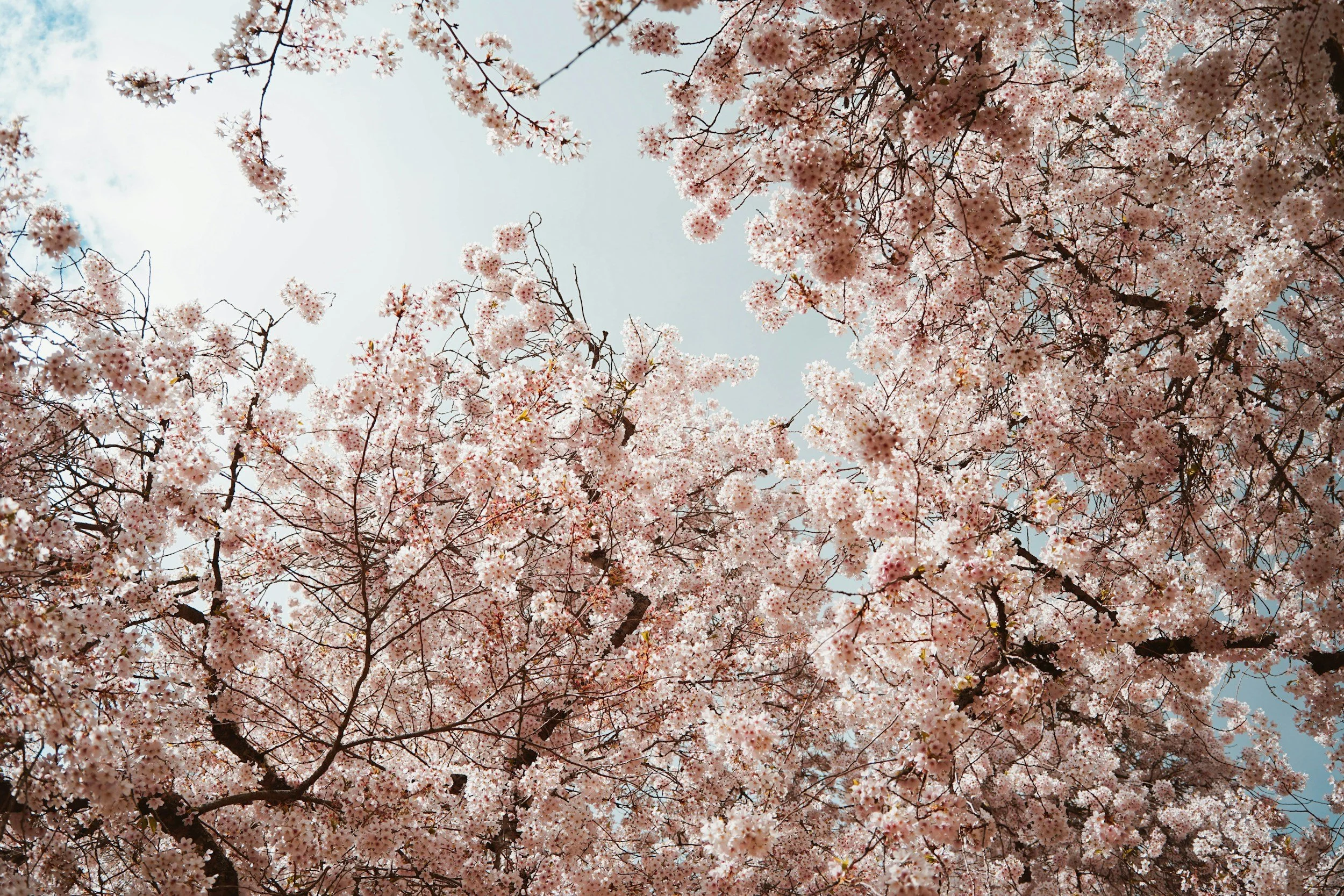 MAY: Read|Watch|Listen|Follow|Create