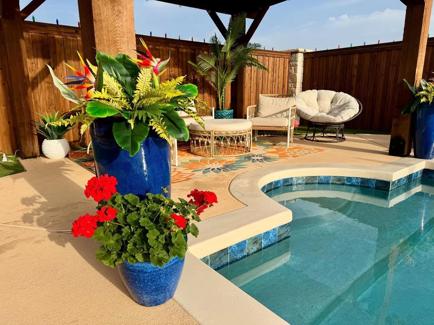 I really hope you were fortunate enough to get geraniums this year from Scherz Landscape because they are absolutely beautiful!!