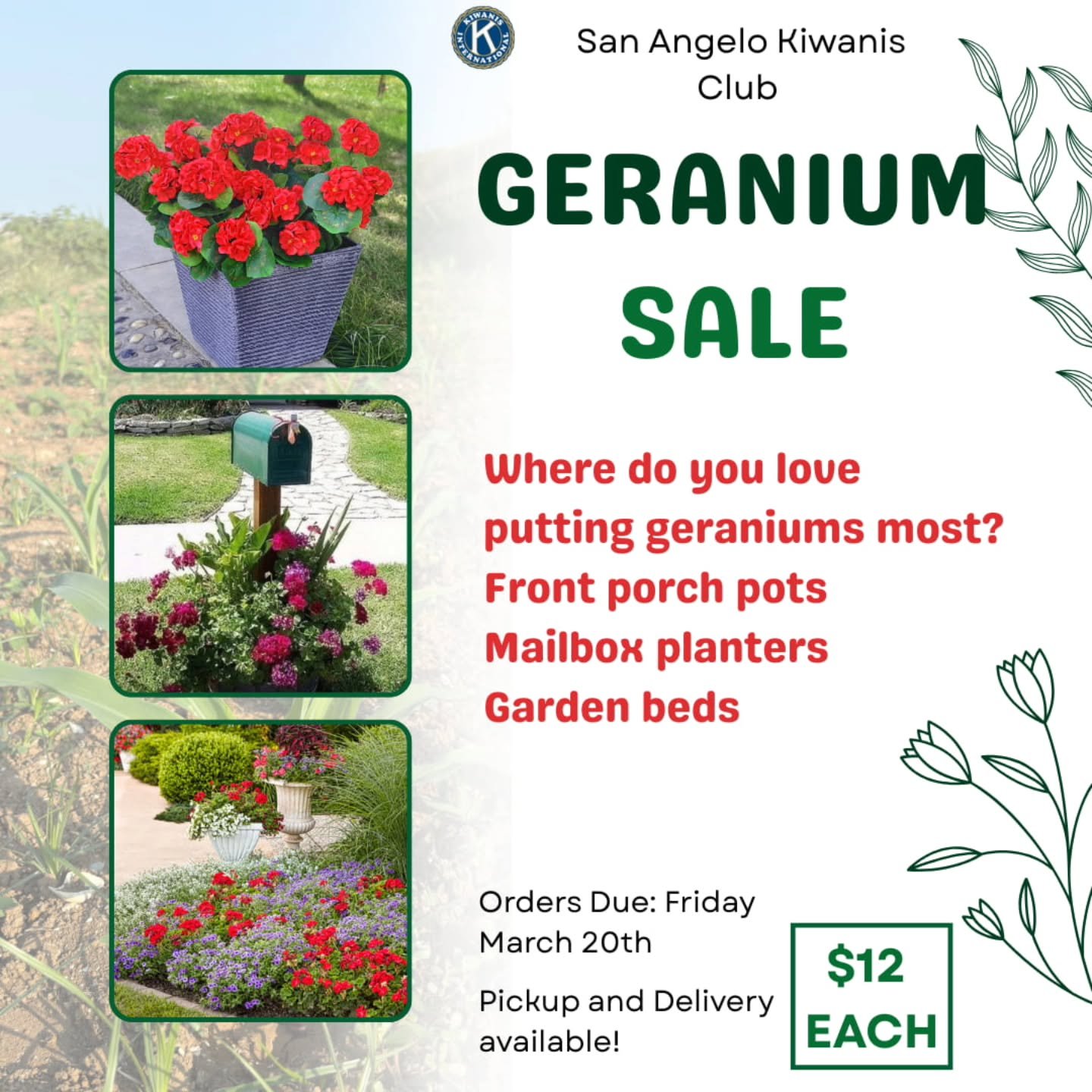 Our Kiwanis Geranium sale is underway! Let us know in the comments where your geraniums go!
